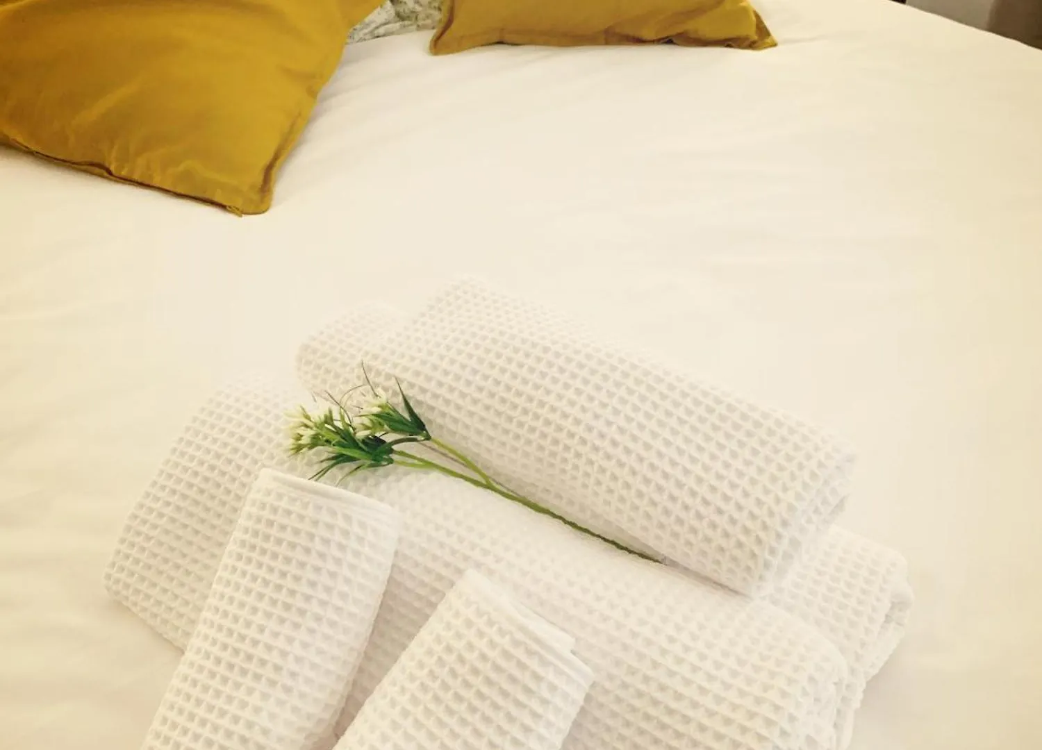 Casa Annasofia Apartment Rome